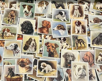Tarjetas de perro vintage de los años 30: Scrapbooking efímero (juego de 15)