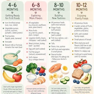 Może przedstawiać: Informacyjna tabela zatytułowana Baby's First Foods by Age, z ilustracją misia i czterema kolorowymi kolumnami dla dzieci w wieku 4-6, 6-8, 8-10 i 10-12 miesięcy. Zawiera sugestie żywieniowe oraz ilustracje owoców, warzyw i różnych posiłków.