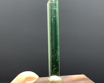 Può includere: Un cristallo di tormalina verde traslucido e sottile. La gemma è montata su una base rettangolare trasparente. L'orientamento verticale e la consistenza naturale del cristallo sono visibili su uno sfondo scuro.
