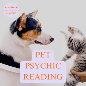 Leitura de animais de estimação, leitura psíquica ou de tarô, conexão com médiuns animais, tudo na mesma hora.