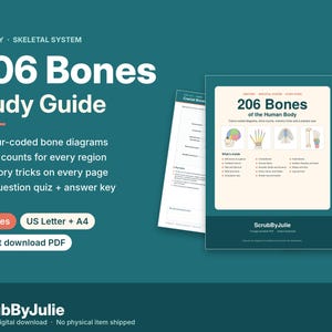 May include: A 15-page digital study guide titled 206 Bones Study Guide, featuring color-coded diagrams of the human skeletal system, bone counts, memory tricks, and a 20-question quiz with an answer key, available in US Letter and A4 sizes.