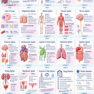 Peut inclure: Un guide d'étude d'anatomie et de physiologie de 22 pages comprenant des diagrammes colorés, des notes claires et des questions d'entraînement. Chaque page couvre des systèmes corporels spécifiques avec des illustrations et du texte annotés.