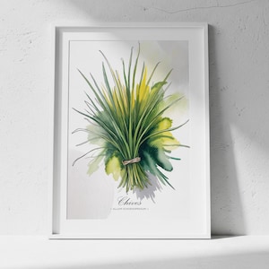 Chives Watercolor Art Print: Botanical Kitchen Decor (Digital Download)