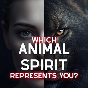 Könnte beinhalten: Ein geteiltes Bild zeigt links das Gesicht einer Frau und rechts das eines Wolfes. Der Text fragt: „WELCHER TIERGEIST VERTRITT DICH?“ in Weiß mit rotem Leuchten. Das Bild lädt zur Selbstreflexion und Selbsterkenntnis ein.
