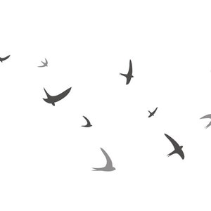 12 Flying birds wall decals in two colors