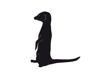 Meerkat Wall Decal