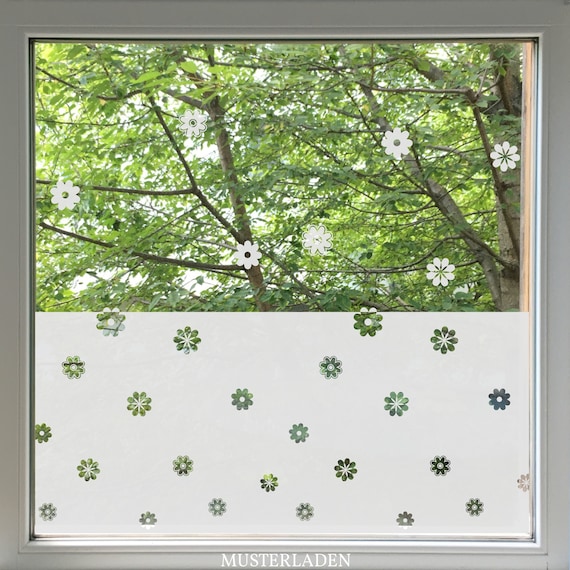Wie erstelle ich ein hübsches DIY-Fenster? - Sichtschutz