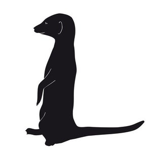 Meerkat Wall Decal
