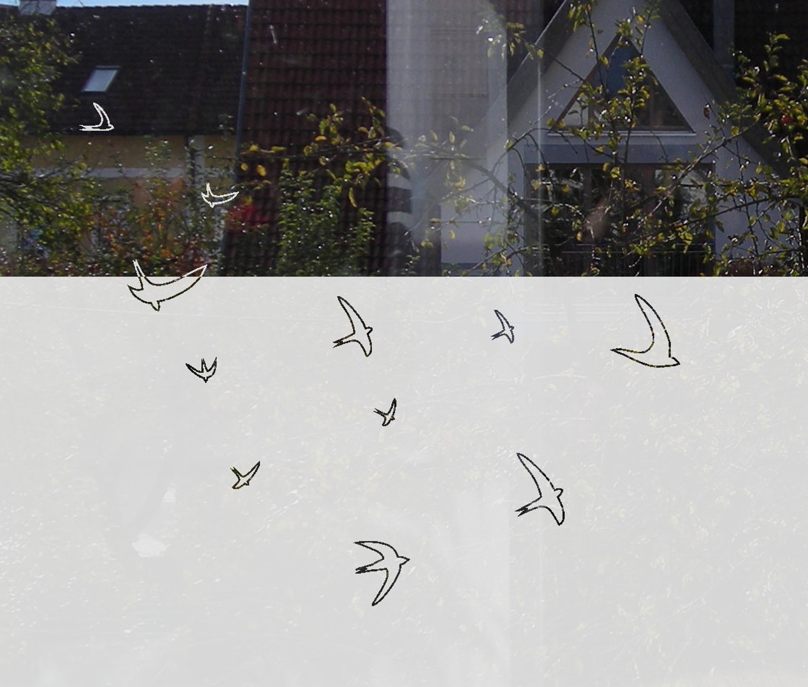 Window Film Bird Decorative Window Privacy Film Custom Etsy