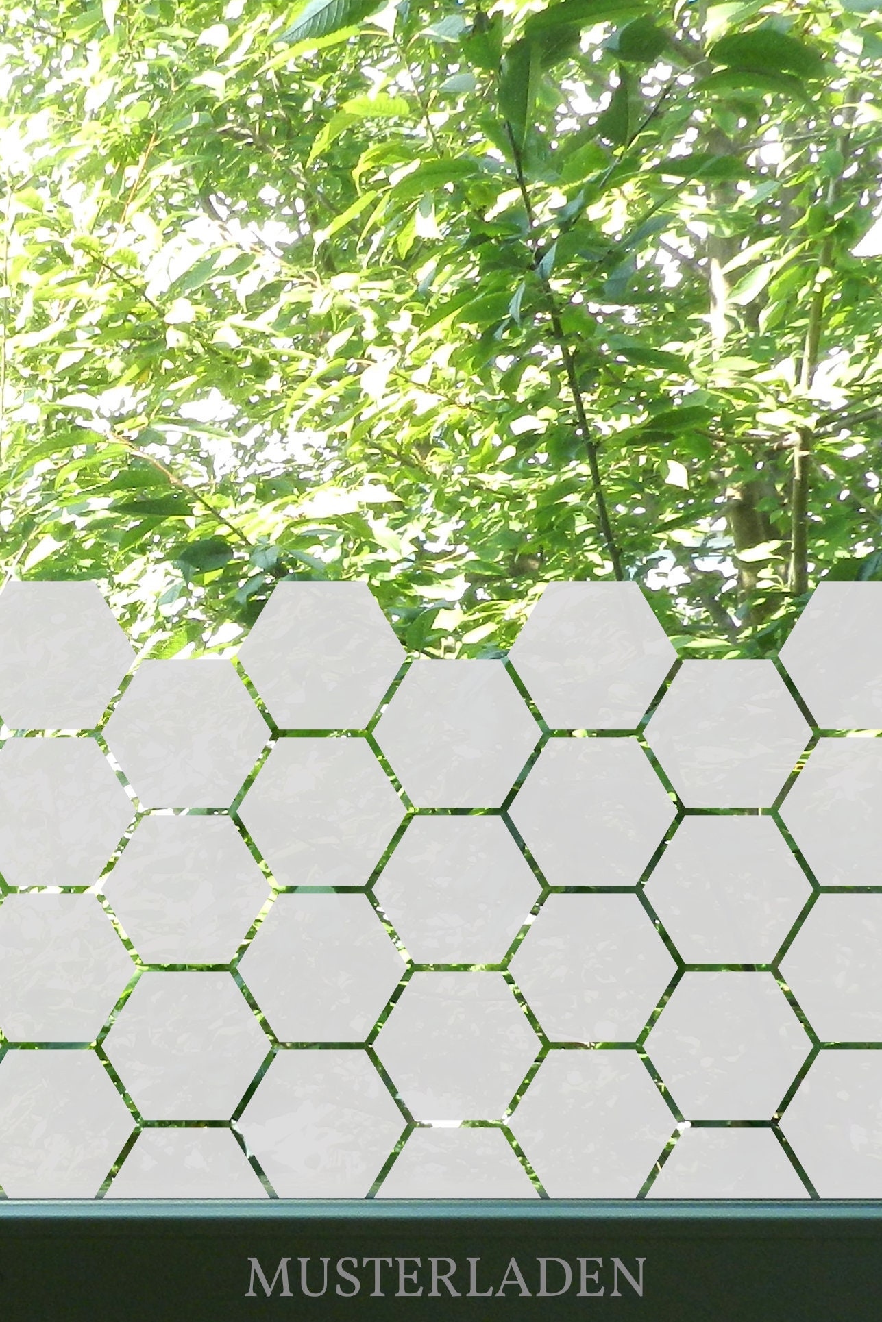 Window Film for Sidelights Privacy Window Film Etsy