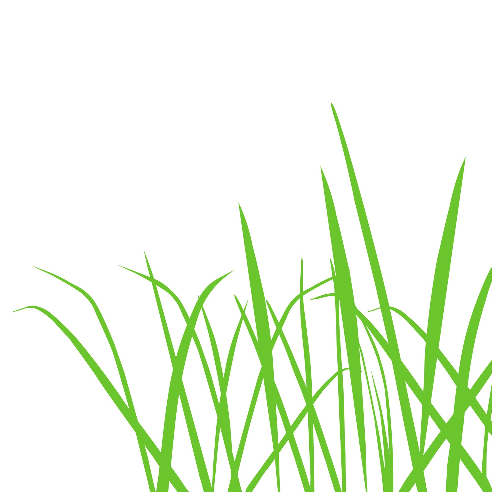 Grass Wall Decal border Grass Decal Grass Wall Art Grass Etsy
