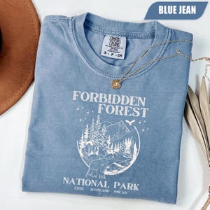 Könnte beinhalten: Blaues Jeans-T-Shirt mit dem weißen Schriftzug "Forbidden Forest National Park". Das Shirt zeigt eine Grafik einer Berglandschaft mit Bäumen, einem Fluss und einem Vogel. Eine goldene Halskette mit Anhänger liegt über dem Shirt.