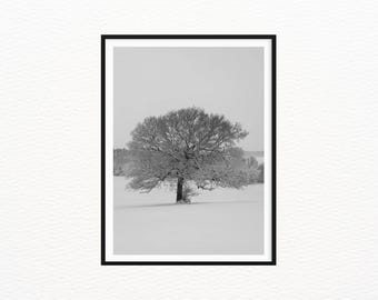 Lone Winter Tree, Kent, Fine Art Print, Black and White Photography, Minimalist Snow Landscape