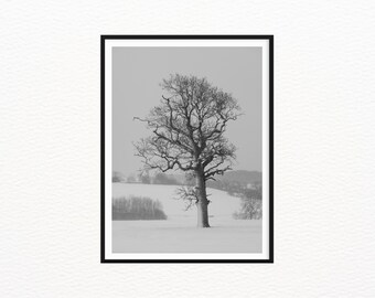 Lone Winter Tree, Kent, Fine Art Print, Black & White Photography, Nature Wall Decor