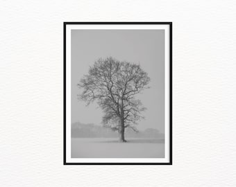 Minimalist Winter Tree, Fine Art Print, Black & White Photography, Nature Wall Decor