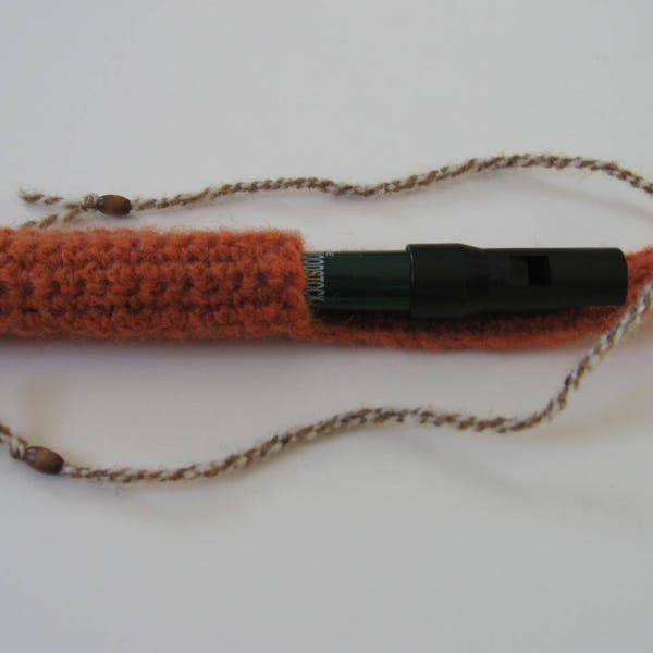 penny whistle case D