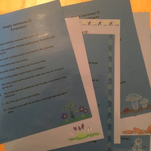 Montessori Word Study Charts, Laminated - Etsy