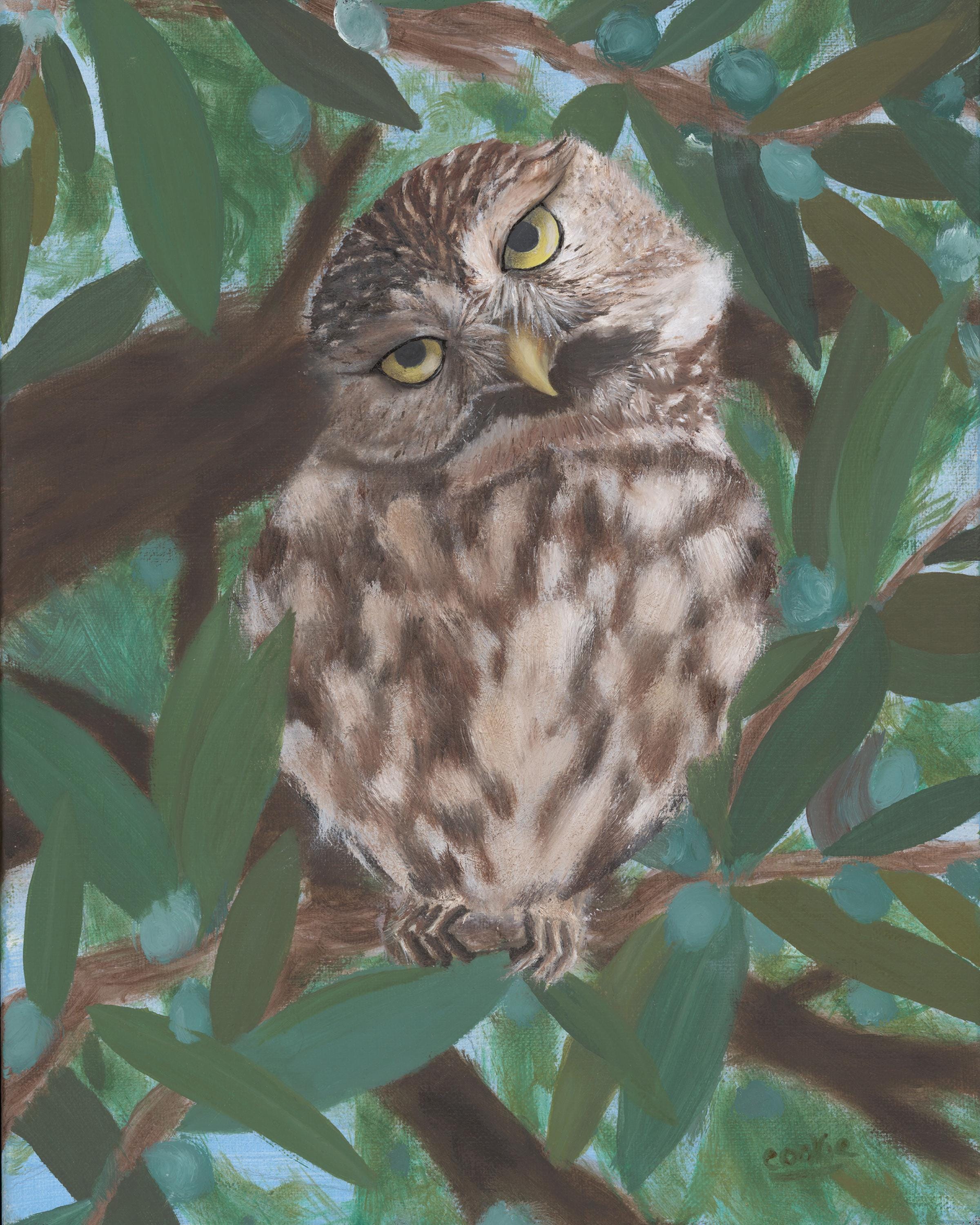 Little Owl: Fine Art Prints