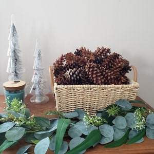 Pine Cones home decor lodge basket filler diy craft fireplace mantle decorating Northern Michigan bowls tiered tray idea natural centerpiece