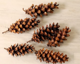 Pine Cones bowl filler Cabin Lodge home decor basket USA craft supply natural DIY wreath centerpiece flowers rustic tablescape idea