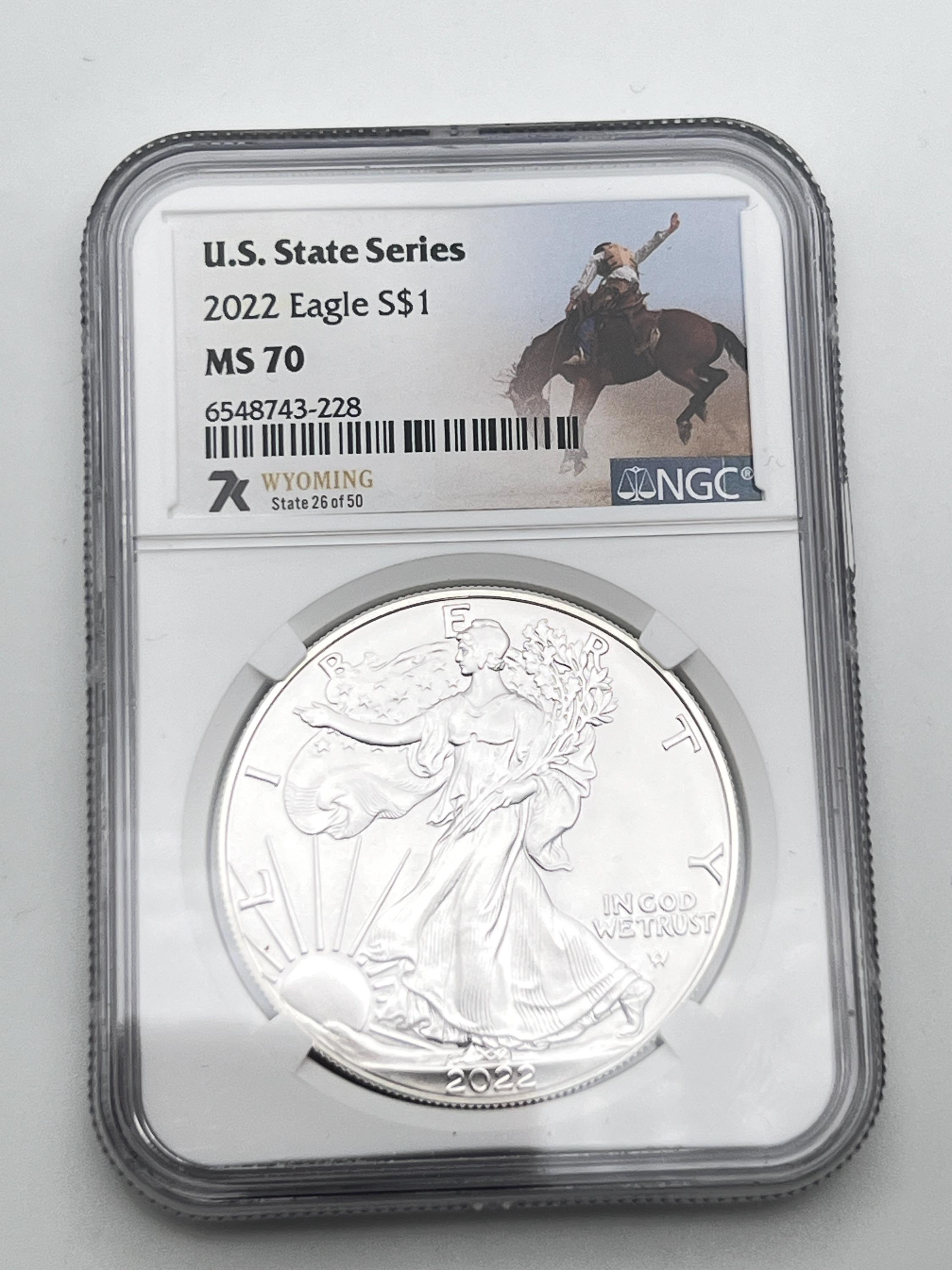 Ms70 silver - Etsy 日本