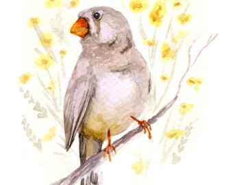 Vink schilderij | Aquarel vogel schilderij | Schilderij vogelliefhebber | Muurkunst vink | Origineel vogelschilderij | Kunstprint kleine vogel| Vinkcadeau