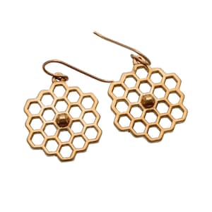 James Webb Space Telescope Earrings