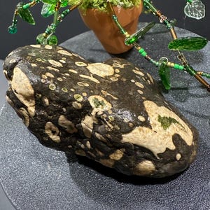 May include: A dark brown rock with irregular cream-colored spots and patches. Behind the rock sits a small terracotta pot filled with green moss and decorated with a beaded vine featuring green glass leaves and small metallic beads.