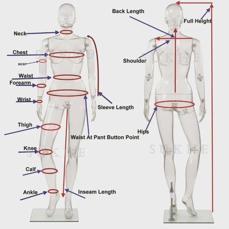 May include: Two transparent mannequins showing body measurement points with red lines and arrows. Labels include Neck, Chest, Bicep, Waist, Forearm, Wrist, Thigh, Knee, Calf, Ankle, Back Length, Full Height, Shoulder, Sleeve Length, Waist At Pant Button Point, Hips, and Inseam Length.