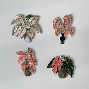 Könnte beinhalten: Vier gestickte Pflanzenaufnäher. Zwei Aufnäher zeigen rosa und grüne Pflanzen in dekorativen Töpfen. Die anderen beiden Aufnäher zeigen Pflanzen mit rosa und grünen Blättern, eine in einer schwarzen Vase und die andere in einem dekorativen Topf.