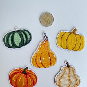 May include: Five embroidered pumpkin patches in various shapes and colors, including green, yellow, orange, and cream. Each patch has a white border and detailed stitching. A two-euro coin is also visible.