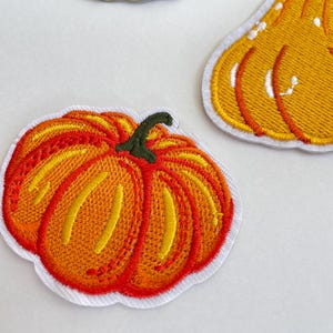 May include: Embroidered patches featuring a pumpkin and a gourd. The pumpkin patch is orange and red with a green stem. The gourd patch is yellow with white accents. Both patches have a white border.