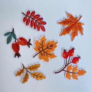 Könnte beinhalten: Gestickte Aufnäher mit Herbstblättern und Beeren in Orange-, Rot- und Brauntönen. Die Aufnäher umfassen ein Ahornblatt, Eichenblätter und Beeren, alle mit weißen Rändern. Ideal, um Kleidung oder Accessoires eine saisonale Note zu verleihen.