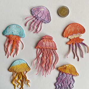 May include: Embroidered jellyfish patches in various colors, including purple, orange, yellow, and blue. Each patch features detailed stitching and flowing tentacles. A Euro coin is also present.