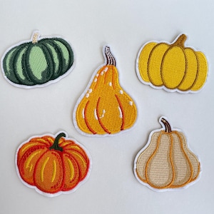 May include: Five embroidered pumpkin patches in various shapes and colors. The patches include a green, yellow, orange, and tan pumpkin designs with white borders. These patches are perfect for fall-themed crafts and decorations.