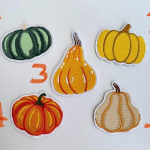May include: Five embroidered pumpkin patches in various shapes and colors. The patches include a green pumpkin, a yellow pumpkin, an orange gourd, a red-orange pumpkin, and a tan pumpkin. Each patch has a white border.
