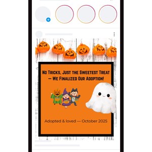Könnte beinhalten: Ein Smartphone-Bildschirm zeigt eine Halloween-Ankündigung. Das Bild zeigt orangefarbene Kürbisse, den Text „No Tricks, Just the Sweetest Treat - We Finalized Our Adoption!“ und eine niedliche Geisterillustration. Die Ankündigung ist datiert auf Oktober 2025.