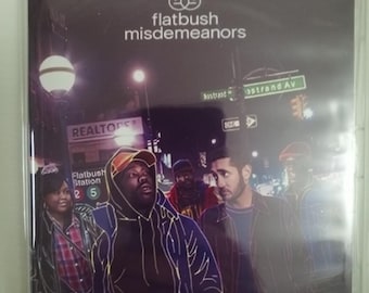 Flatbush Misdemeanors Komplette Serie auf DVD