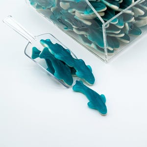 Giant Gummy Killer Blue Shark
