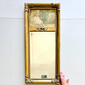 Vintage Gold wall Mirror with Romantic Victorian Print | French Cottage Vanity | ornate Hollywood Regency- Homco Wall Art decor