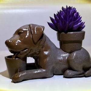 Labrador Flower Vase. Succulent Vase.