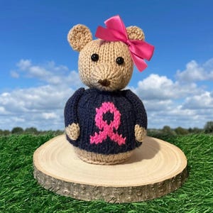Könnte beinhalten: Ein handgefertigter Strickbär mit einer rosa Schleife und einem marineblauen Pullover mit rosa Schleife. Der Bär wird auf einer Holzscheibe vor dem Hintergrund von grünem Gras und blauem Himmel präsentiert.