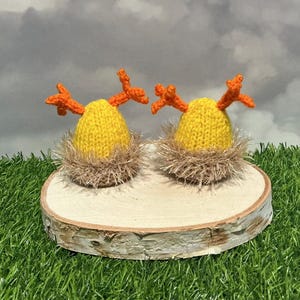 Könnte beinhalten: Zwei handgefertigte, gestrickte, gelbe eiförmige Ornamente mit orangefarbenen, zweigartigen Akzenten, eingebettet in braune, flauschige Nester. Sie werden auf einer runden Holzscheibe vor dem Hintergrund von grünem Gras und einem bewölkten Himmel präsentiert.