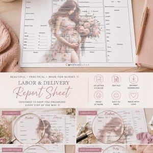 Labor and Delivery Report Sheet | OB Nursing Notes | Mother & Baby Report | Printable PDF | Digital Download