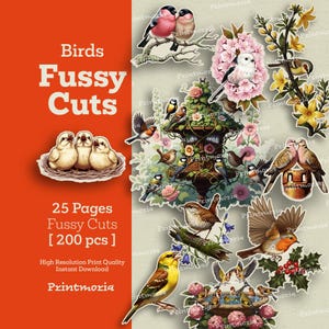 Vintage vogel kieskeurig set, natuur ephemera voor junk Journal, benodigdheden voor versiering, afdrukbare scrapbooking kit (digitale directe download)