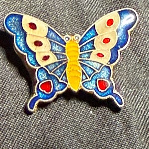 Vintage Cloisonné Butterfly Brooch: Retro Enamel Pin, 1960s-80s Jewelry