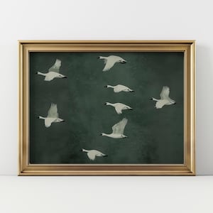 May include: A framed print depicting a group of white swans soaring across a dark green backdrop. The artwork is presented within a gold-coloured frame, enhancing the natural theme of the image.