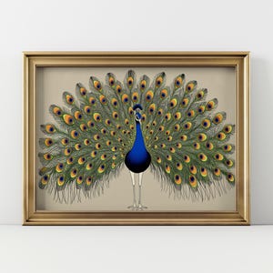 May include: A framed print featuring a peacock with its tail feathers fully displayed. The peacock has a blue body, a crest, and a fan of green, yellow, and blue feathers. The artwork is set against a beige background and framed in gold.