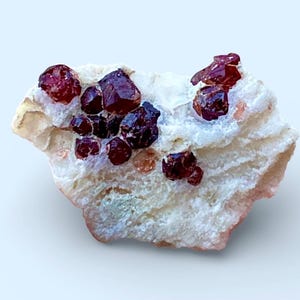 May include: A natural mineral specimen featuring deep red garnet crystals clustered on a matrix of white and beige rock. The crystals have a rich, dark color and a sparkling appearance. The rock has a layered texture.