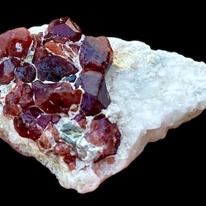 May include: A cluster of deep red garnet crystals on a white matrix. The crystals are a rich, dark red with a glossy appearance. The matrix is a light, off-white color. The overall shape is irregular, with the crystals clustered together.